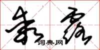 朱錫榮乖露草書怎么寫