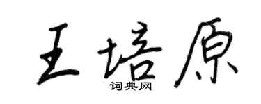 王正良王培原行書個性簽名怎么寫