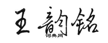 駱恆光王韻銘行書個性簽名怎么寫