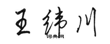 駱恆光王緯川行書個性簽名怎么寫