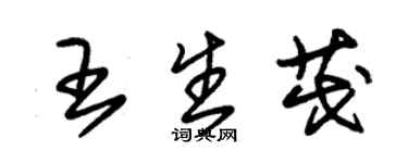 朱錫榮王生茂草書個性簽名怎么寫