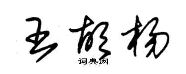 朱錫榮王胡楊草書個性簽名怎么寫