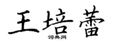 丁謙王培蕾楷書個性簽名怎么寫