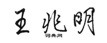 駱恆光王兆明行書個性簽名怎么寫