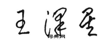 駱恆光王澤星草書個性簽名怎么寫