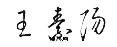 駱恆光王素陽草書個性簽名怎么寫