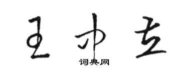 駱恆光王中立草書個性簽名怎么寫