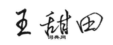 駱恆光王甜田行書個性簽名怎么寫