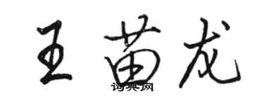 駱恆光王苗龍行書個性簽名怎么寫