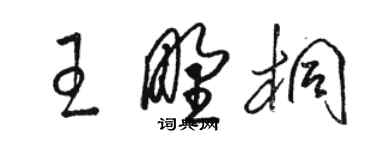 駱恆光王野桐草書個性簽名怎么寫