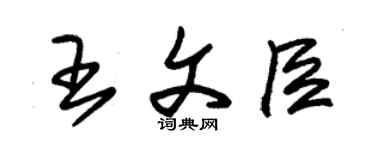 朱錫榮王文臣草書個性簽名怎么寫