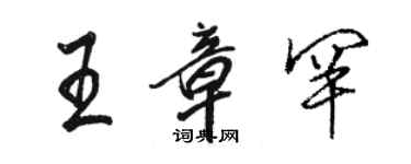 駱恆光王章罕行書個性簽名怎么寫