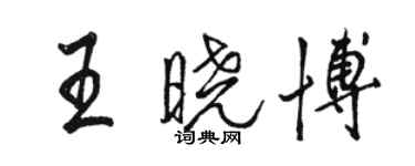 駱恆光王曉博行書個性簽名怎么寫