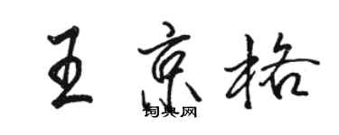 駱恆光王京格行書個性簽名怎么寫