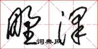 駱恆光野澤草書怎么寫