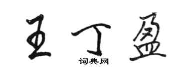 駱恆光王丁盈行書個性簽名怎么寫