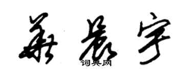 朱錫榮華晨宇草書個性簽名怎么寫