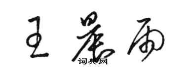 駱恆光王晨雨草書個性簽名怎么寫