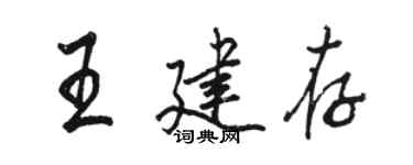 駱恆光王建存行書個性簽名怎么寫