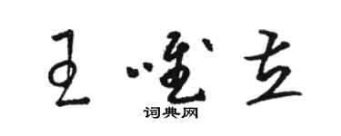 駱恆光王唯立草書個性簽名怎么寫