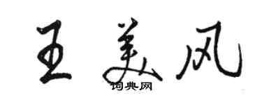 駱恆光王美風行書個性簽名怎么寫