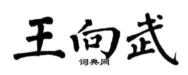 翁闓運王向武楷書個性簽名怎么寫