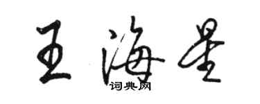 駱恆光王海星行書個性簽名怎么寫