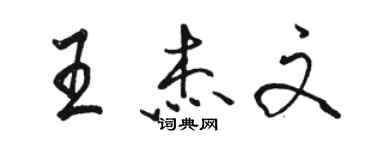 駱恆光王傑文行書個性簽名怎么寫