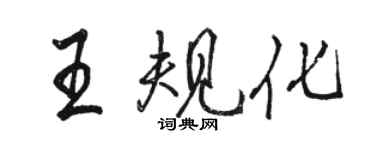 駱恆光王規化行書個性簽名怎么寫