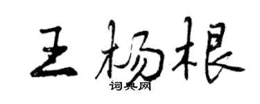 曾慶福王楊根行書個性簽名怎么寫