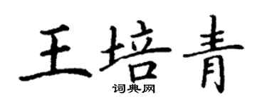 丁謙王培青楷書個性簽名怎么寫