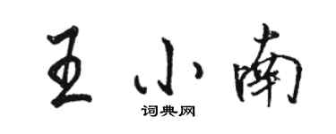 駱恆光王小南行書個性簽名怎么寫