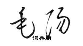 駱恆光毛陽草書個性簽名怎么寫