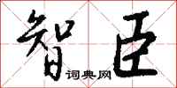 錢沛雲智臣行書怎么寫