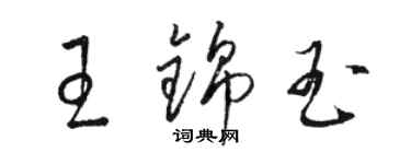 駱恆光王錦玉草書個性簽名怎么寫