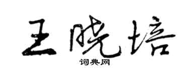 曾慶福王曉培行書個性簽名怎么寫