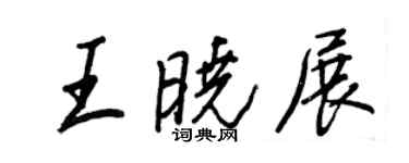 王正良王曉展行書個性簽名怎么寫