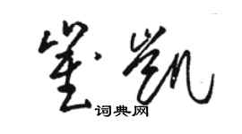 駱恆光崔凱草書個性簽名怎么寫