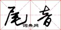 朱錫榮尾音草書怎么寫