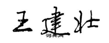 曾慶福王建壯行書個性簽名怎么寫