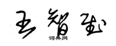 朱錫榮王智慰草書個性簽名怎么寫