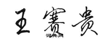 駱恆光王賽貴行書個性簽名怎么寫