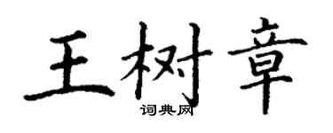 丁謙王樹章楷書個性簽名怎么寫