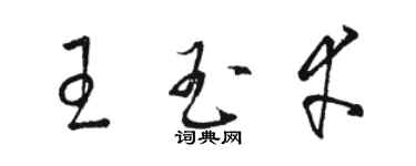 駱恆光王玉幸草書個性簽名怎么寫