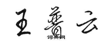 駱恆光王普雲行書個性簽名怎么寫