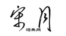 駱恆光宋月草書個性簽名怎么寫