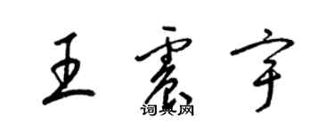 梁錦英王震宇草書個性簽名怎么寫