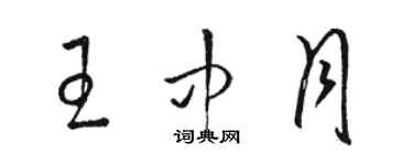 駱恆光王中月草書個性簽名怎么寫