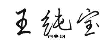 駱恆光王純寶行書個性簽名怎么寫