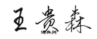 駱恆光王貴森行書個性簽名怎么寫